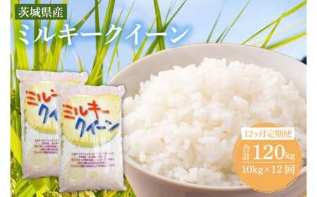 12ヶ月定期便 米 ミルキークイーン 10kg (5kg × 2袋) 12ヶ月定期便 米