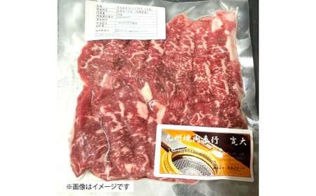 博多和牛 並カルビ 約500g（約250g×2パック） カルビ 並カルビ 牛肉 肉 付けダレ 冷凍 福岡県産