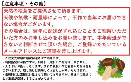  松茸 国産「高野松茸」約300g【化粧箱入】2026年発送【S022-mtgn013】