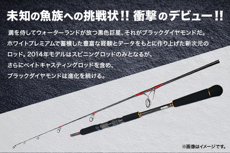 ウォーターランド ブラックダイヤモンド S785 村田基監修 (A29-004)