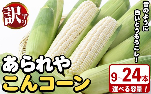 
                  ＜先行予約受付中！2026年9月下旬以降順次発送予定＞＜容量が選べる！＞訳あり！白いとうもろこし「あられやこんコーン」(9～24本) 国産 トウモロコシ 玉蜀黍 ホワイト コーン 野菜 糖度 夏 イネ科 数量限定 期間限定 訳アリ 旬 【うとさんち】
                