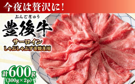 【厳選部位】おおいた豊後牛 サーロイン しゃぶしゃぶすき焼き用 600g(300g×2P) 日田市 / 株式会社MEAT PLUS　牛 うし 黒毛和牛 和牛 豊後牛 [AREI017]