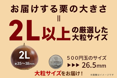生栗 1kg 利平 栗 くり 国産  2L サイズ 以上 大きい 大粒 取り寄せ 笠間 茨城 和栗 甘栗 低温熟成 ギフト プレゼント 秋 旬 おやつ スイーツ 果物 フルーツ 焼き栗 栗ご飯 栗きん