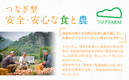 青パパイヤ 千切り 200g×5袋 ゆいやわす《30日以内に出荷予定(土日祝除く）》熊本県 葦北郡 津奈木町 パパイヤ パパイア 野菜 健康野菜 国産 人気 お味噌汁 炒め物 サラダ に 酵素 食物繊