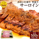 【ふるさと納税】おおいた和牛 豊後牛 サーロイン 250g×2枚 合計500g 国産 サーロインステーキ A4ランク 牛肉 九州産 大分県産黒毛和牛 送料無料