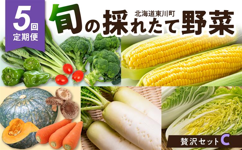 【5回定期便】旬の採れたて野菜「贅沢セットＣ」