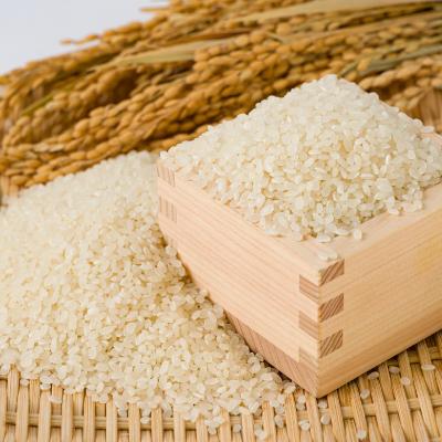 ふるさと納税 久米南町 【食味鑑定士厳選】岡山県産 コシヒカリ30kg(5kg×6袋) |  | 01