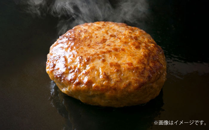 自家製ハンバーグ (8人前) ハンバーグ 肉 冷凍 惣菜 ギフト  牛肉 おかず 小分け 豚肉 プレゼント 贈答 はんばーぐ
