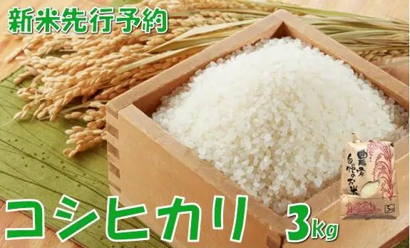 【令和８年産米 先行予約】コシヒカリ3kg　佐藤