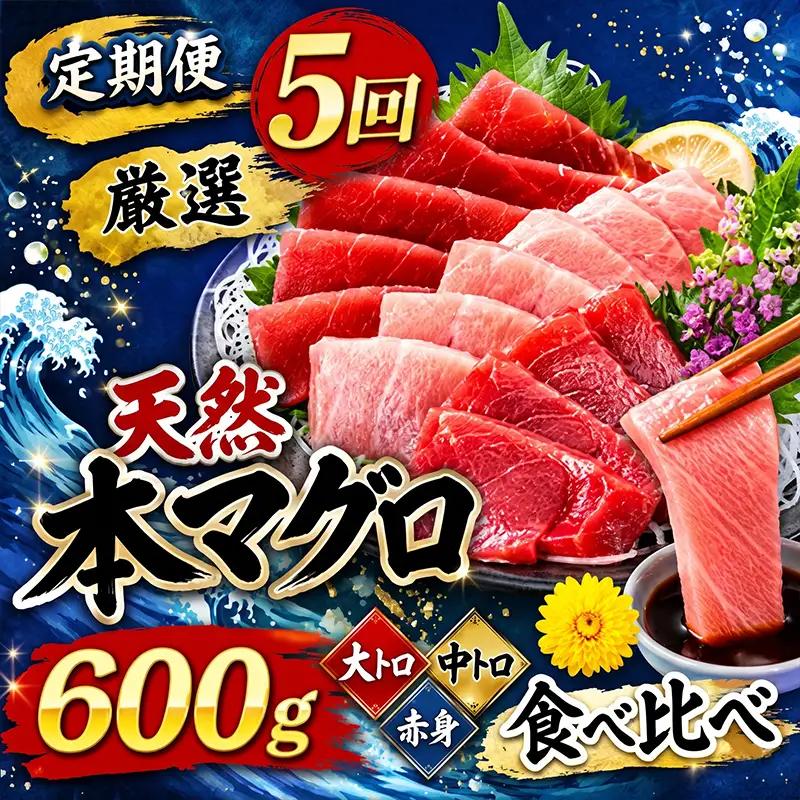 【定期便/計5回】天然本マグロ（各600g） 【まぐろ】FN-Limited-PR