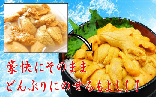  【5月より発送】天然生うに 100g×2個 国産 【配送日指定不可】《キタムラサキウニ》《無添加》《三陸産は濃厚な味》［05］