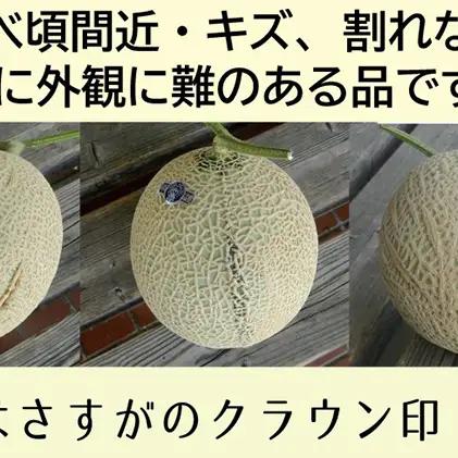 メロン 6ヶ月 定期便 クラウン 訳あり 1玉入 果物 メロン