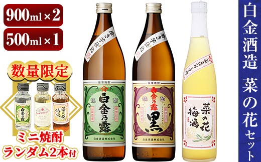 a475 《数量限定！ミニ焼酎ランダム2本付き》本格焼酎飲み比べ！白金酒造の定番芋焼酎白金乃露・白金乃露黒(各900ml)と白金酒造のいも焼酎で作った菜の花梅酒(500ml)の3本が楽しめる菜の花セット【白金酒造】 姶良市 酒 焼酎 本格芋焼酎 本格焼酎 芋焼酎 芋 梅酒 飲み比べ セット