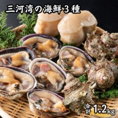 三河湾の海鮮3種セット約1.2kg(大アサリ、サザエ、平貝の貝柱)【CAS冷凍】訳あり・サイズ不揃い