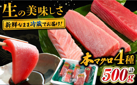 対馬産 生 本マグロ 500g （赤身、中トロ、大トロ）《対馬市》【対海】 海鮮 魚介 まぐろ トロ 刺身 人気 おいしい おすすめ  九州 長崎 [WAH025]