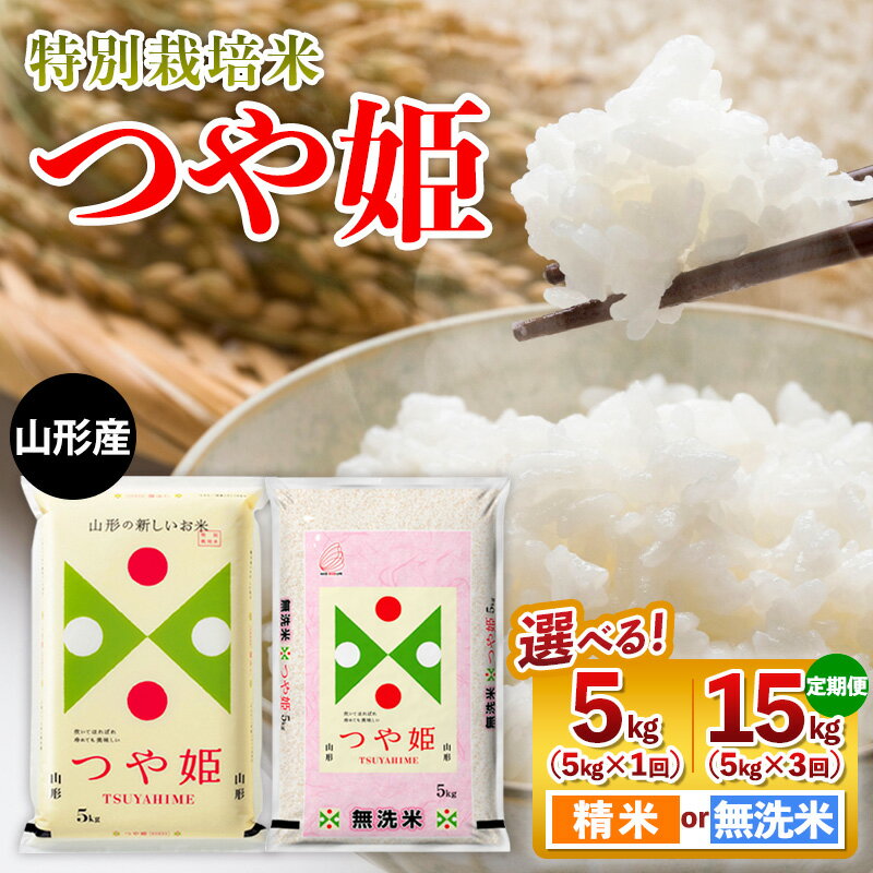 【ふるさと納税】令和7年産 山形産 【無洗米】 特別栽培米 つや姫 選べる 15kg 5kg FY25-354 FZ25-304 FY25-444 FY25-445