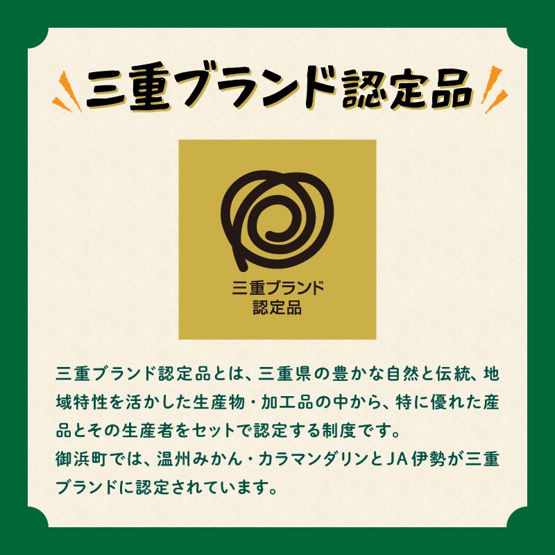 【2026年発送 先行予約品】