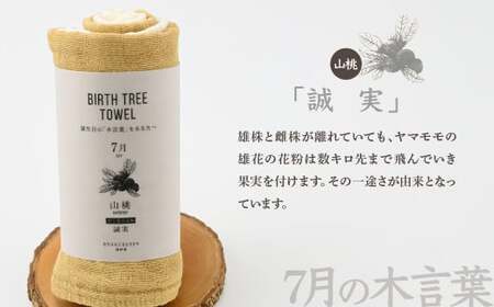 7月「山桃」の木言葉 「誠実」 BIRTH TREE TOWEL |  ガーゼ ガーゼ ガーゼ ガーゼ ガーゼタオル ガーゼハンカチ タオル ハンカチ ふわふわ 草木染 染め RYOKUSUIEN 緑