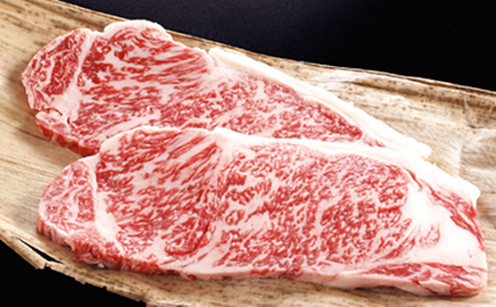 近江牛 定期便 3か月 3回 カネ吉山本 ごちそう定期便G Y176W 近江牛定期便 牛肉