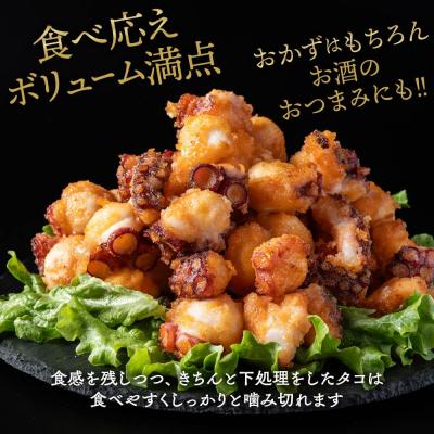 ふるさと納税 紋別市 北海道紋別産たこのから揚げ500g |  | 01