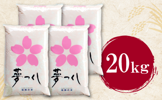 【新米】令和7年産 研ぐお米 夢つくし20kg  米 コメ 20kg 箱入り 5kg×4 夢つくし 20キロ 福岡 夢つくし ゆめつくし 手軽 リピート 日時指定 ギフト お中元 お歳暮 コスパ 福岡