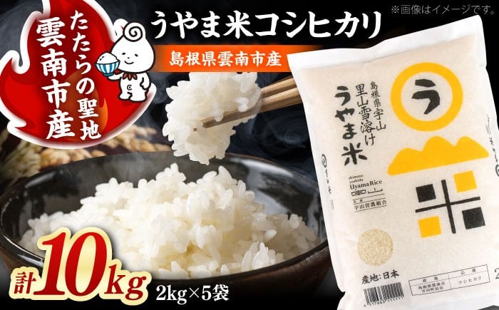 
            白米 【2025年産】「うやま米」コシヒカリ 10kg（2kg×5）おすすめ 人気 お米 米 こめ 白米 精米 ブランド米 小分け 便利 食べきりサイズ ごはん ご飯 おにぎり 食卓 主食 お取り寄せ グルメ ご当地米 贈り物 贈答 ギフト 家族 ファミリー 大容量 ストック おいしい 国産 新生活 10キロ 毎日 お弁当 朝ごはん 島根県雲南市/有限会社藤本米穀店 [AIDB019]
          