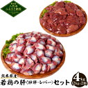 【ふるさと納税】 熊本県産 若鶏の肝 セット 砂肝 レバー 合計4kg 2kg×2袋 各1袋 若鶏 鶏肉 鳥肉 レバー 砂肝 お肉 国産 九州産 冷凍 送料無料