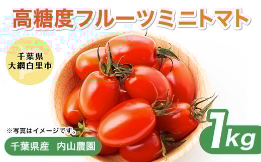
                  千葉県産　高糖度フルーツミニトマト 1kg ふるさと納税 トマト ミニトマト あまい 甘い 高糖度 野菜 サラダ 高リコピン 千葉県 大網白里市 送料無料 AS002
                