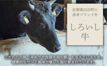 【牧場直送】しろいし牛 食卓にうれしいバラエティ セット（切り落とし 500g＆サイコロステーキ 350g）【有限会社佐賀セントラル牧場】[IAH195]