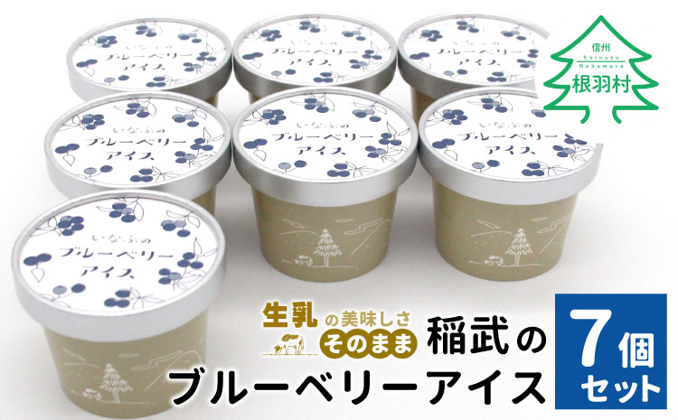 無農薬！皮ごと使用！30品種をブレンドした ブルーベリー アイス(80ml)×7個入り
