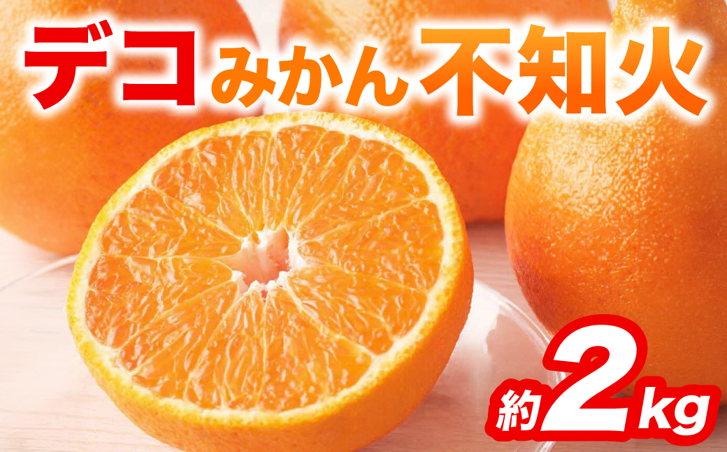 【先行予約】 不知火 デコみかん (デコポン同品種) 約2kg (5～9玉) フルーツ くだもの 果物 みかん 蜜柑 ミカン 柑橘 おやつ デザート 旬 熊本県 八代市 【2027年2月上旬より順次発送】