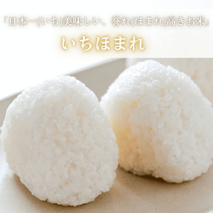 福井県産いちほまれ 米 5kg [B-187002] / 食品 ご飯 お米 白米 いちほまれ ブランド米 米 コメ こめ 精米 白米 5キロ 令和7年 令和七年 7年 七年 一等米