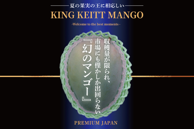 【2026年8月より順次発送】【KING KEITT MANGOl】特選プレミアムキーツマンゴー 1玉(約750g以上)｜マンゴー キーツマンゴー フルーツ 果物 くだもの 先行予約 贈り物 プレゼント お土産 ギフト 沖縄 おきなわ 沖縄県 豊見城市(BV012)