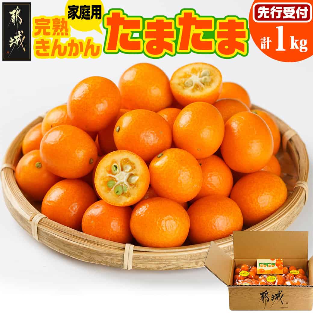 【ふるさと納税】《先行予約！》【家庭用】宮崎ブランド完熟きんかん「たまたま」1kg - 完熟 金柑 たまたま 宮崎 都城産 完熟きんかんたまたま Lサイズ 柑橘類 家庭用 果物 くだもの フルーツ 先行受付 送料無料 LG-0101 【宮崎県都城市】