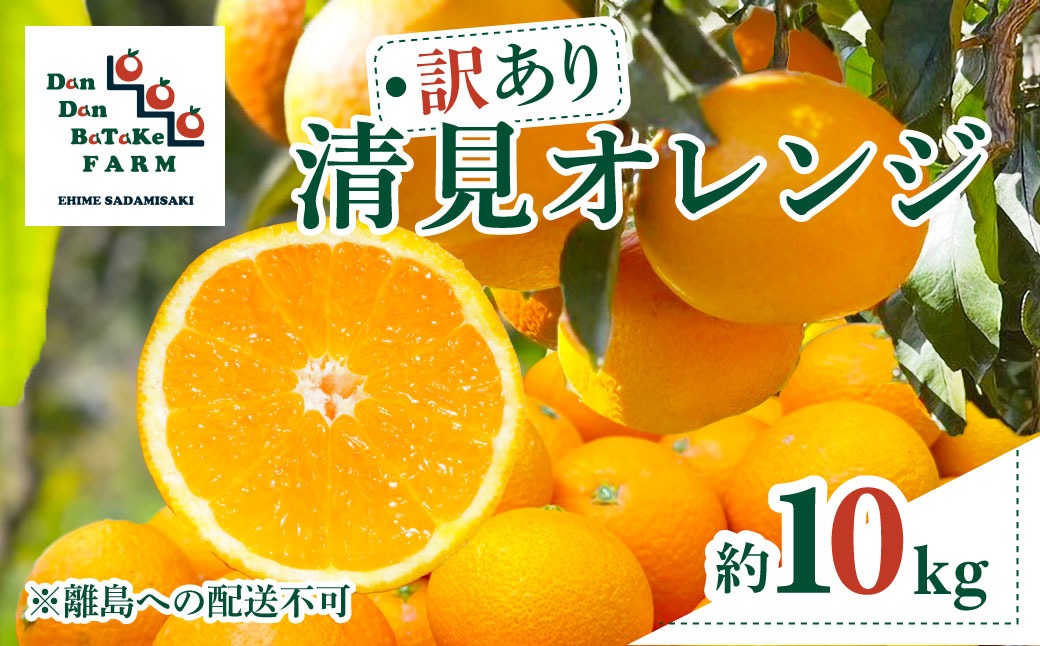 【先行予約】【訳あり】清見オレンジ 約10kg ※離島への配送不可　※2027年3月中旬より順次発送予定 IKTAU011