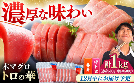 【12月中にお届け】対馬産 本マグロ 1kg（赤身500g、中トロ500g） ≪対馬市≫【桐谷商店】 トロの華 対馬 新鮮 マグロ トロ 鮪 刺身 鮮度抜群[WAQ051-12]