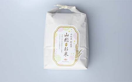 定期便 全6回 極みのはえぬき（精米）5kg×2 米 お米 おこめ 山形県 新庄市 F3S-2417