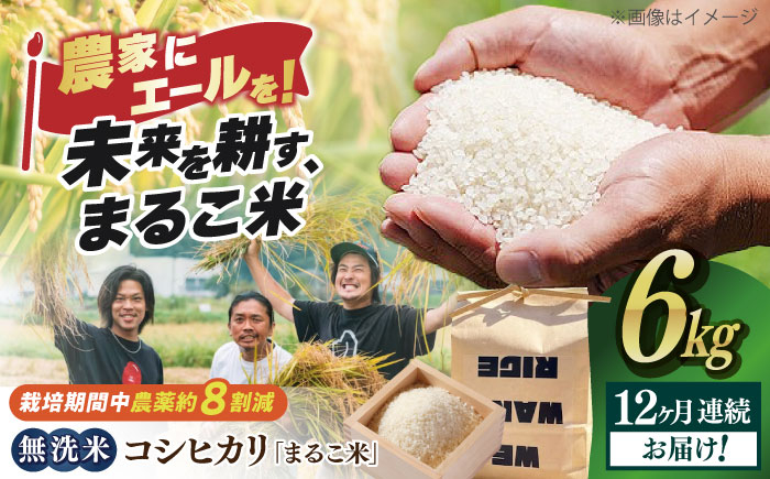 
            【全12回定期便】無洗米 コシヒカリ 滋賀県西浅井町産「まるこ米」6kg（2kg×3）　滋賀県長浜市/ONE SLASH 株式会社[AQCZ023]  米 お米 白米 無洗米 こしひかり 6kg 地域 応援 定期便
          