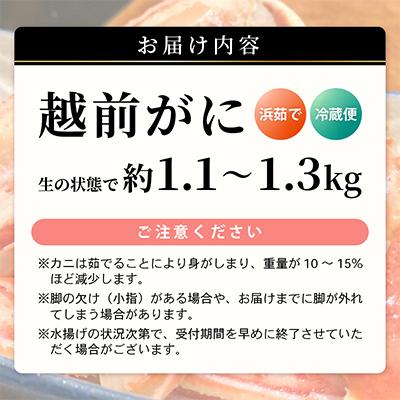 ふるさと納税 美浜町 【2025年3月より順次お届け】越前がに(大大サイズ)約1.1〜1.3kg×1杯 |  | 03