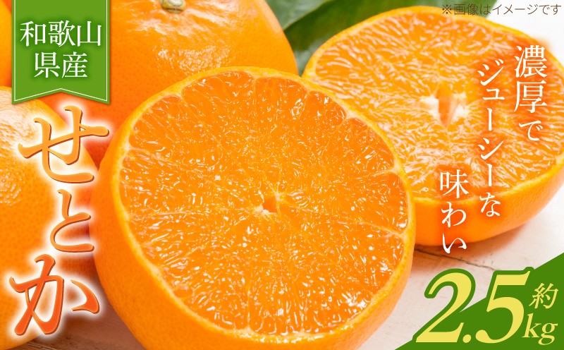 
                  G7349_【2027年先行予約】とろける食感！ジューシー柑橘 せとか 約2.5kg
                