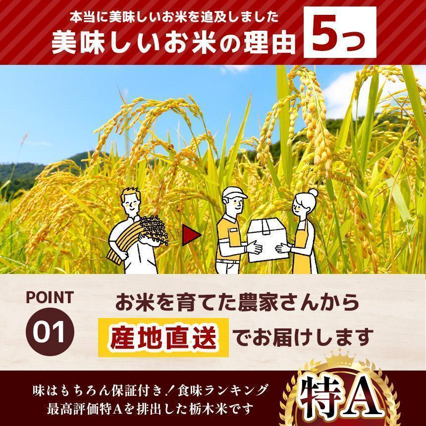 【定期便6回】栃木県産 にじのきらめき 白米 4kg 2026年 先行予約 | 栃木県 矢板市