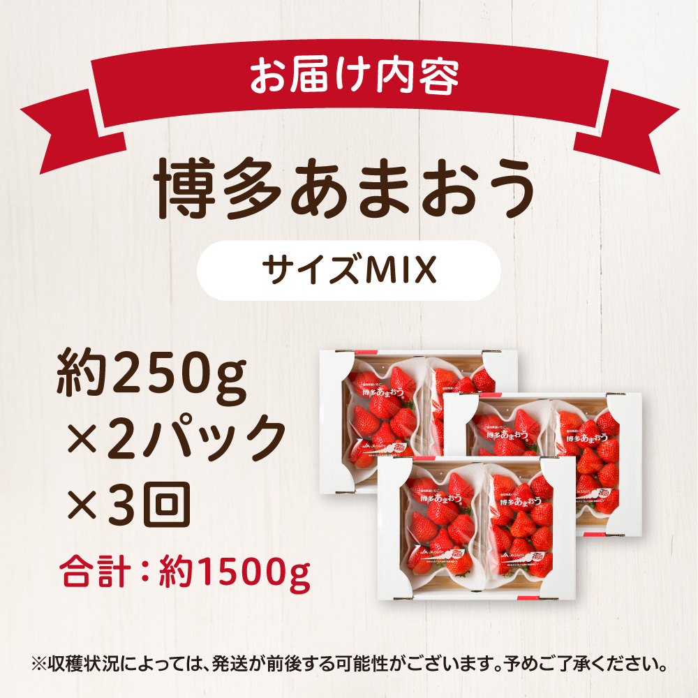 【定期便／3ヶ月連続お届け】博多あまおう 約250g×2パック 計3回 総量1.5kg 3カ月定期便【ほたるの里】_AM0075-00