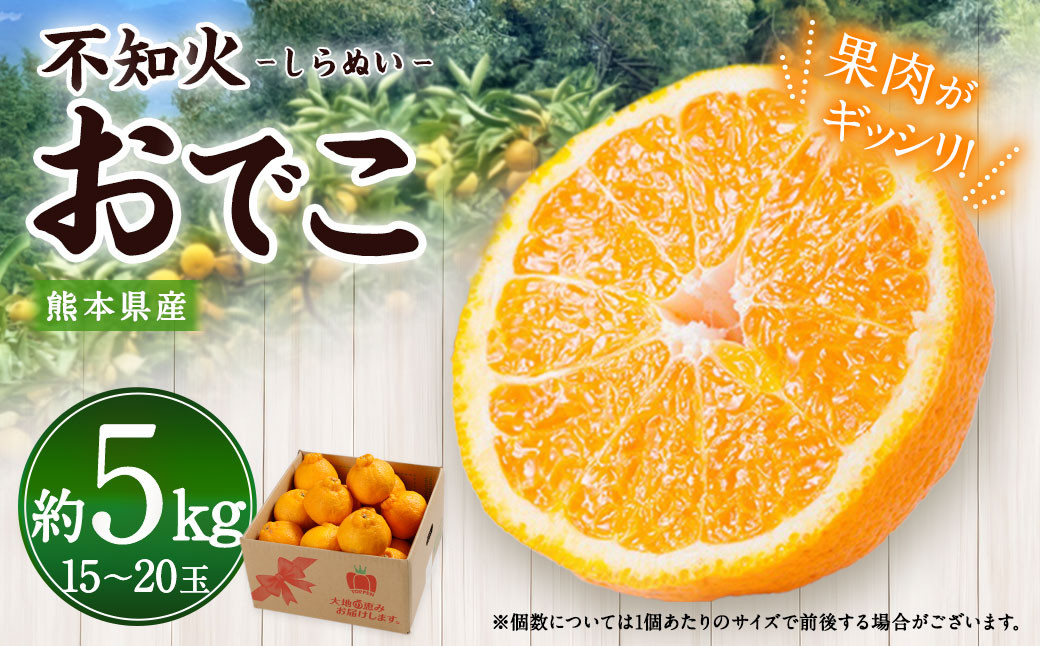 
熊本県産 不知火おでこ 約5kg 蜜柑 みかん 柑橘 フルーツ 果物 くだもの 【2025年2月上旬発送開始】
