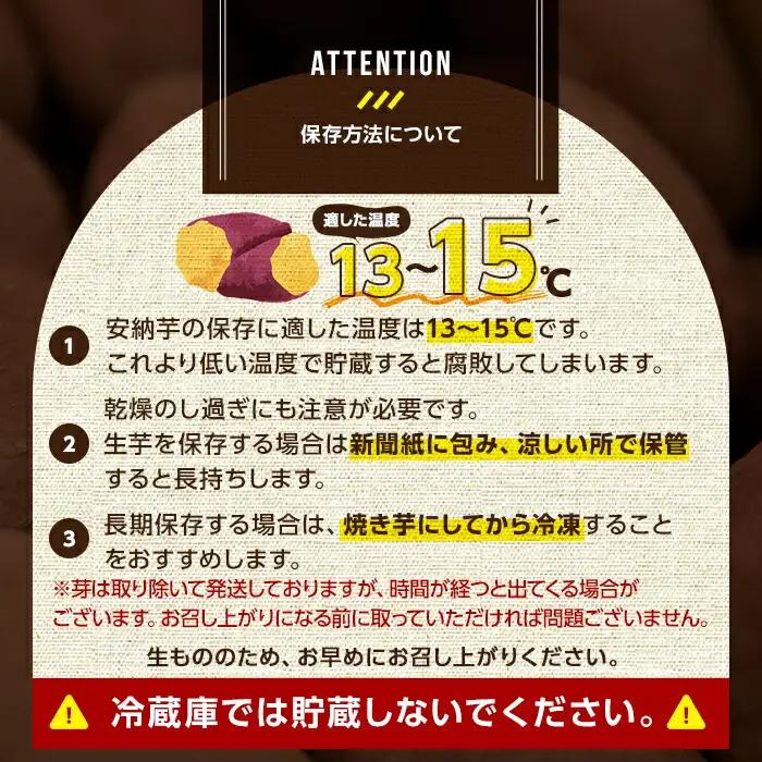 安納芋 さつまいも 10kg【永濱農園】n084