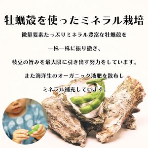 【農薬不使用】枝豆 1.6kg  個包装 200g × 8食分  動物性肥料不使用 edama