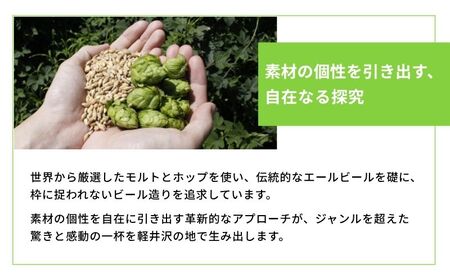 ビール 定期便 12ヵ月 クラフトビール 350ml 24本 3種 アルコール 缶ビール 定期 12回