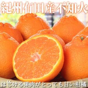 【ご家庭用】紀州有田産不知火(しらぬひ) 約8.5kg【日高町】【1216961】