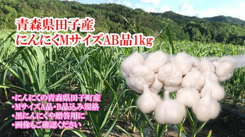 
                  田子産にんにく約1kg（MサイズA～B品）
                