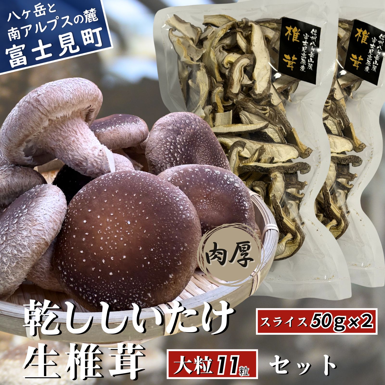 【ふるさと納税】 肉厚 大粒 生しいたけ 11粒＋乾ししいたけスライス 50g×2　八ヶ岳山麓育ち 国産 朝採れ 安心安全 農薬不使用 ハウス栽培 芳醇な香り 椎茸 信州 送料無料 【発送時期：9月～翌年5月の期間】