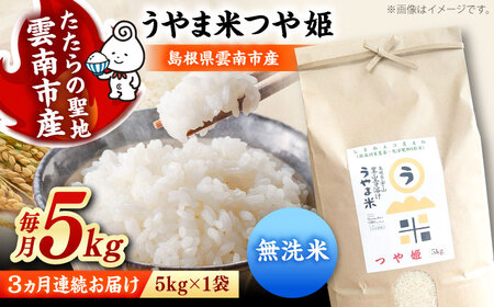 【3回定期便】無洗米 令和7年産 つや姫 5kg[AIDB095] 無洗